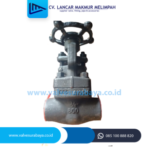 Gate valve steam class 800 merk Shoritzu