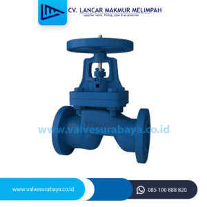 Globe valve Fivalco