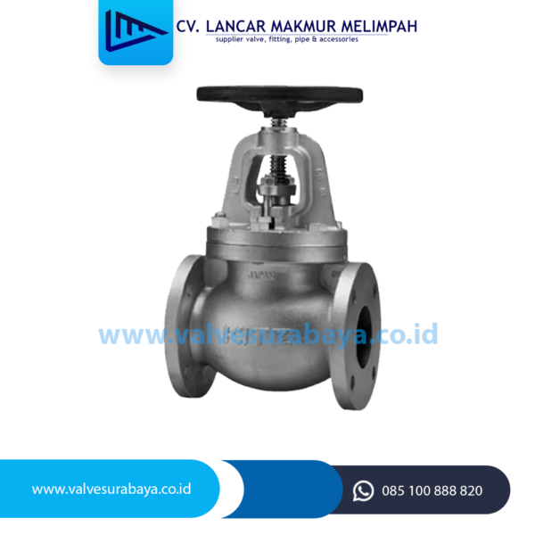 Globe valve kitz