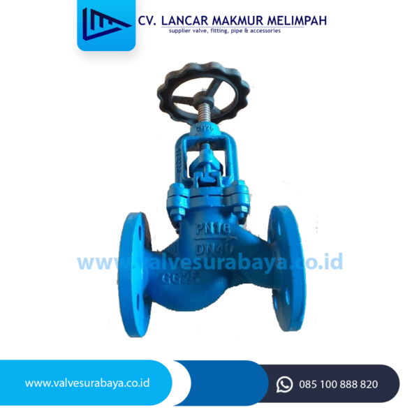 Globe valve merk 3Y